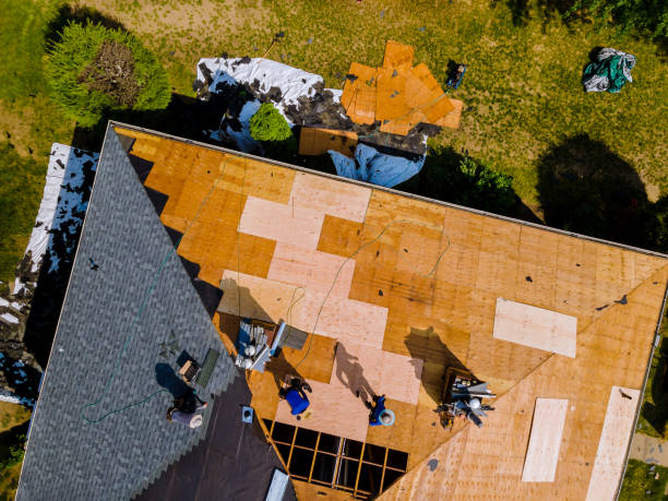 Best Metal Roofing Contractor  in Seabrook, MD